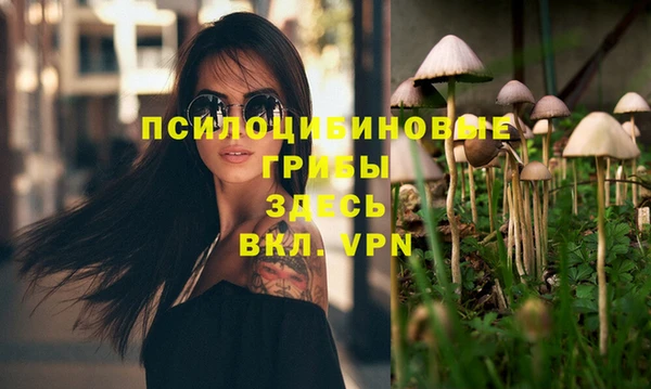 Альфа ПВП Алзамай